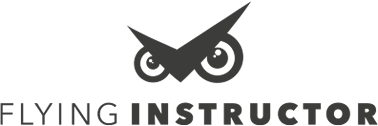 Flying Instructor Logo